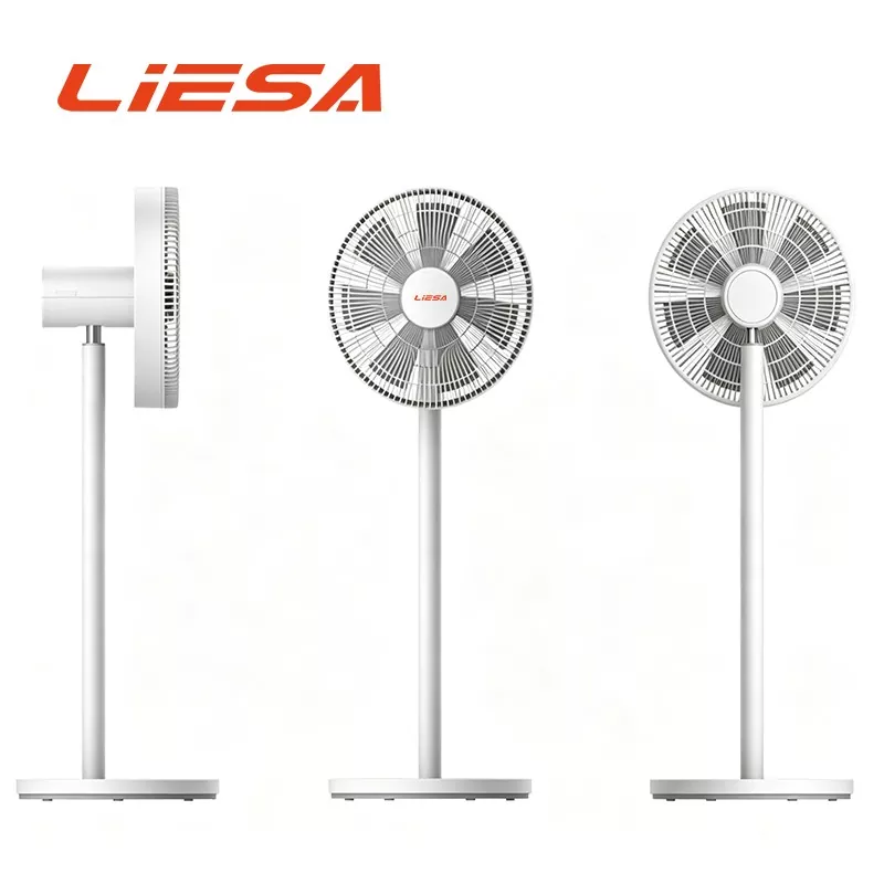 Ventilator de circulație motor DC